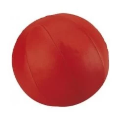 Medizinball Echt Leder Rot 5 Kg