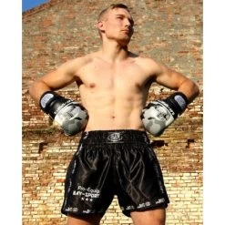 Pro-Equip Mesh Thaiboxhose XS - XXL Schwarz/schwarz 21 Pro-Equip Mesh Thaiboxhose XS - XXL Schwarz/schwarz -Sport Ausrüstung Verkauf pro equip mesh thaiboxhose xs xxl schwarz schwarz8